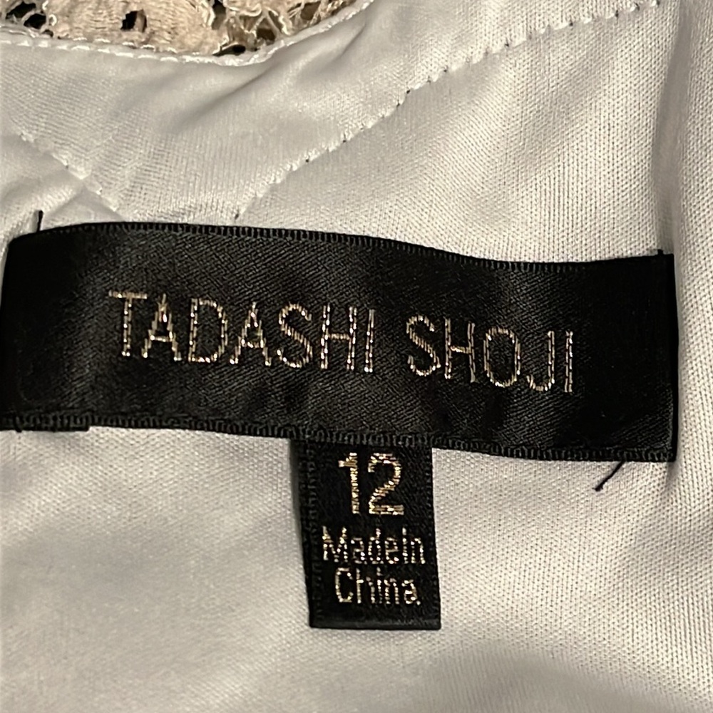 Tadashi Shoji Chantilly Lace Gown - Picture 14 of 15
